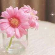 ヒメ日記 2025/05/29 22:28 投稿 南 おりな 京都ホットポイント