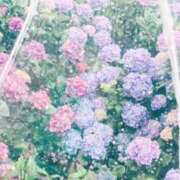 ヒメ日記 2025/06/01 22:13 投稿 南 おりな 京都ホットポイント