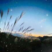 ヒメ日記 2025/06/18 19:11 投稿 南 おりな 京都ホットポイント