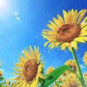 ヒメ日記 2025/06/19 15:49 投稿 南 おりな 京都ホットポイント