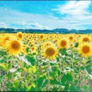 ヒメ日記 2025/07/12 21:08 投稿 南 おりな 京都ホットポイント