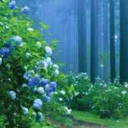 ヒメ日記 2025/07/17 14:28 投稿 南 おりな 京都ホットポイント