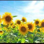 ヒメ日記 2025/07/18 15:22 投稿 南 おりな 京都ホットポイント