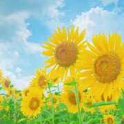 ヒメ日記 2025/07/24 15:47 投稿 南 おりな 京都ホットポイント