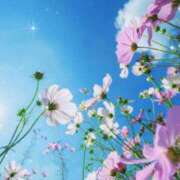 ヒメ日記 2025/08/17 17:47 投稿 南 おりな 京都ホットポイント