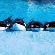 ヒメ日記 2025/09/01 13:16 投稿 南 おりな 京都ホットポイント