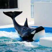 ヒメ日記 2025/09/08 14:20 投稿 南 おりな 京都ホットポイント