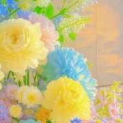 ヒメ日記 2025/09/26 18:18 投稿 南 おりな 京都ホットポイント