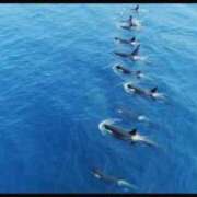 ヒメ日記 2025/09/29 14:36 投稿 南 おりな 京都ホットポイント