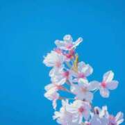 ヒメ日記 2025/10/30 18:12 投稿 南 おりな 京都ホットポイント