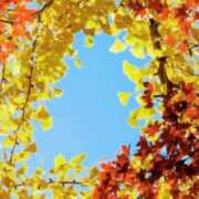 ヒメ日記 2025/11/01 14:22 投稿 南 おりな 京都ホットポイント