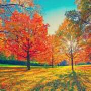 ヒメ日記 2025/11/15 17:45 投稿 南 おりな 京都ホットポイント