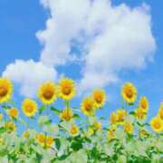 ヒメ日記 2025/11/29 14:48 投稿 南 おりな 京都ホットポイント