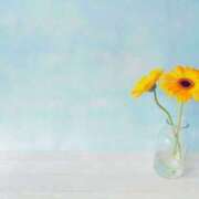 ヒメ日記 2025/12/01 21:45 投稿 南 おりな 京都ホットポイント