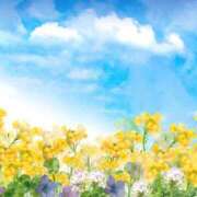 ヒメ日記 2026/02/24 16:17 投稿 南 おりな 京都ホットポイント