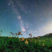 ヒメ日記 2026/03/01 18:36 投稿 南 おりな 京都ホットポイント