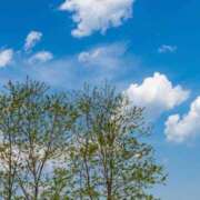 ヒメ日記 2026/03/11 12:14 投稿 南 おりな 京都ホットポイント