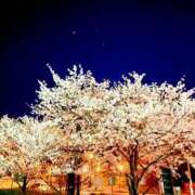 ヒメ日記 2026/03/18 15:15 投稿 南 おりな 京都ホットポイント