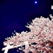 ヒメ日記 2026/03/19 17:13 投稿 南 おりな 京都ホットポイント