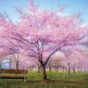 ヒメ日記 2026/03/21 16:45 投稿 南 おりな 京都ホットポイント