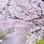 ヒメ日記 2026/03/24 15:19 投稿 南 おりな 京都ホットポイント