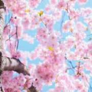 ヒメ日記 2026/03/28 14:41 投稿 南 おりな 京都ホットポイント