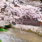 ヒメ日記 2026/04/01 15:26 投稿 南 おりな 京都ホットポイント