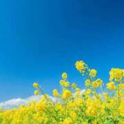 ヒメ日記 2026/04/20 17:12 投稿 南 おりな 京都ホットポイント