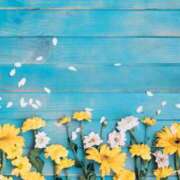 ヒメ日記 2026/04/26 00:05 投稿 南 おりな 京都ホットポイント