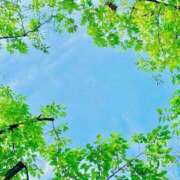 ヒメ日記 2026/05/07 14:30 投稿 南 おりな 京都ホットポイント