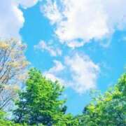 ヒメ日記 2026/05/26 15:14 投稿 南 おりな 京都ホットポイント
