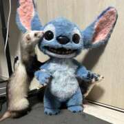 ヒメ日記 2026/04/03 23:50 投稿 ゆき 11チャンネル