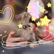 ヒメ日記 2025/06/06 10:45 投稿 涼(りょう) MERMAID～マーメイド～