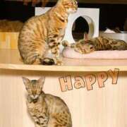 ヒメ日記 2025/06/20 23:02 投稿 涼(りょう) MERMAID～マーメイド～