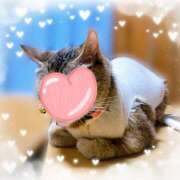 ヒメ日記 2025/10/07 20:34 投稿 涼(りょう) MERMAID～マーメイド～