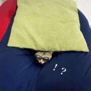 ヒメ日記 2025/10/09 08:43 投稿 涼(りょう) MERMAID～マーメイド～