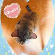 ヒメ日記 2025/10/16 19:37 投稿 涼(りょう) MERMAID～マーメイド～