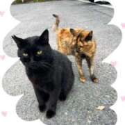 ヒメ日記 2025/10/20 21:56 投稿 涼(りょう) MERMAID～マーメイド～