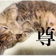 ヒメ日記 2025/10/22 15:35 投稿 涼(りょう) MERMAID～マーメイド～