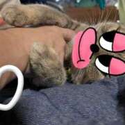 ヒメ日記 2025/10/28 15:01 投稿 涼(りょう) MERMAID～マーメイド～