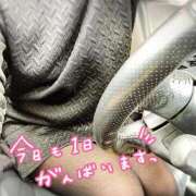 ヒメ日記 2025/11/11 09:40 投稿 涼(りょう) MERMAID～マーメイド～