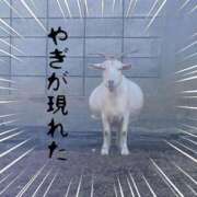 ヒメ日記 2025/11/26 12:14 投稿 涼(りょう) MERMAID～マーメイド～