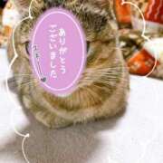 ヒメ日記 2026/01/07 16:27 投稿 涼(りょう) MERMAID～マーメイド～