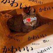 ヒメ日記 2026/05/02 13:41 投稿 涼(りょう) MERMAID～マーメイド～