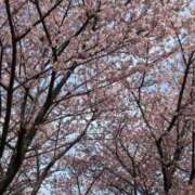 ヒメ日記 2026/03/10 20:43 投稿 新人　かれん Hash Style（アッシュスタイル）