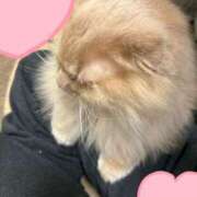 ヒメ日記 2025/02/07 17:54 投稿 橘ゆうこ HANABI(福富町)