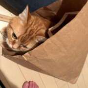 ヒメ日記 2025/02/13 16:48 投稿 橘ゆうこ HANABI(福富町)