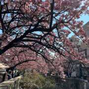 ヒメ日記 2025/02/18 16:35 投稿 橘ゆうこ HANABI(福富町)