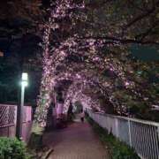 ヒメ日記 2025/02/25 18:11 投稿 橘ゆうこ HANABI(福富町)