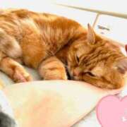 ヒメ日記 2025/02/28 17:22 投稿 橘ゆうこ HANABI(福富町)